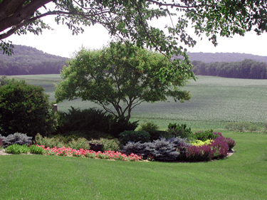 Fischer Landscape photo by Deb Pike