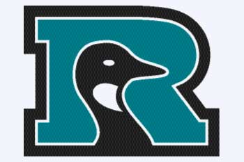 Honkers Icon, courtesy Rochester Honkers