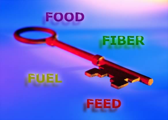 Key Topics: food, fuel, fiber & feed
