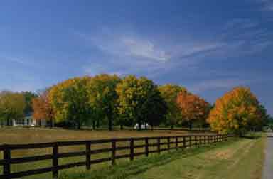 autumn in the country