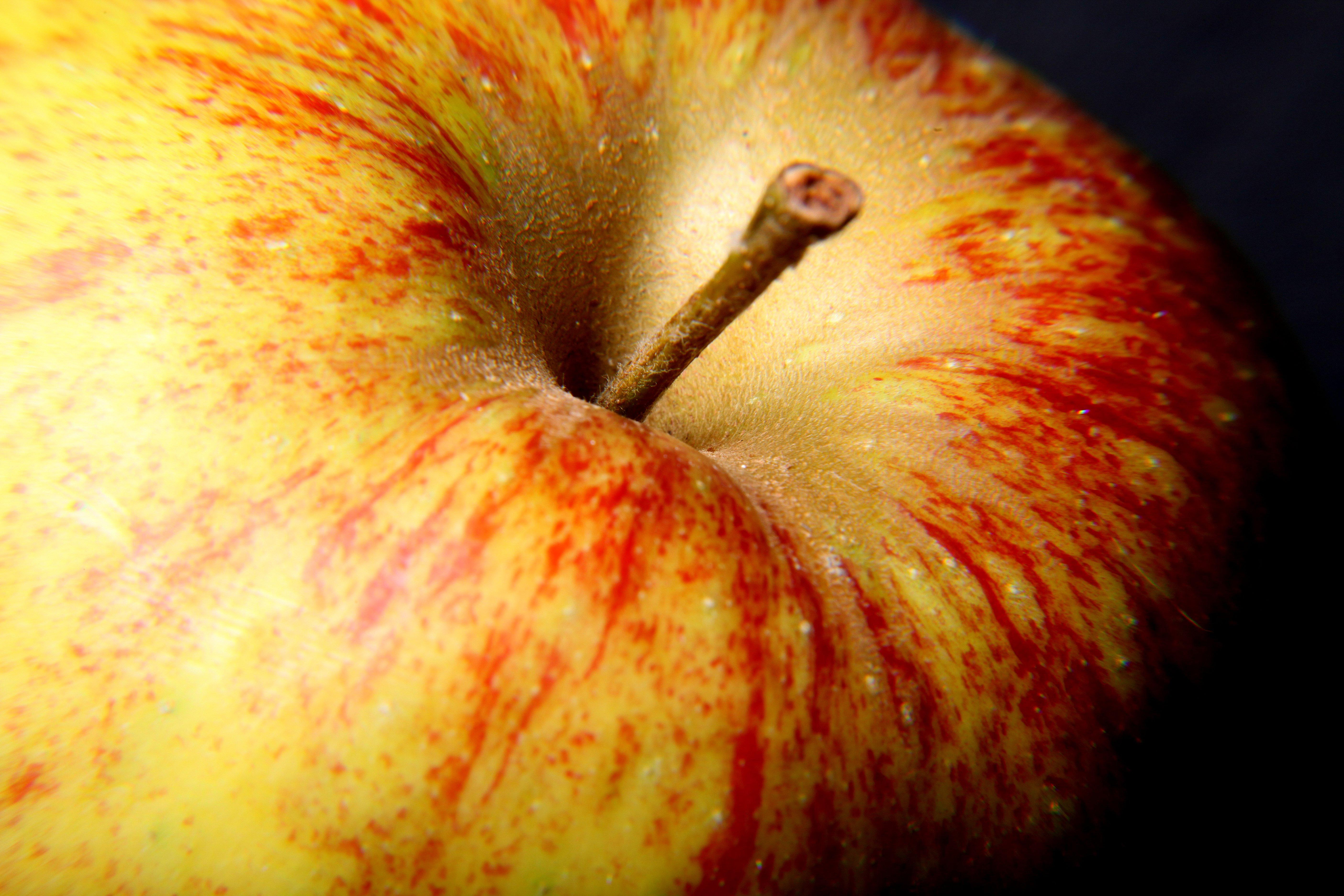 apple; Photo: apple_macro.jpg (http://www.morguefile.com/archive/display/852434) by hotblack (http://www.morguefile.com/creative/hotblack) is licensed by morgueFile (http://www.morguefile.com/license/morguefile)