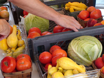 vegetables; Photo DSC05930.JPG (http://cdn.morguefile.com/imageData/public/files/k/KyleJones/08/l/13773623234fk47.jpg) by KyleJones (http://www.morguefile.com/creative/KyleJones) under morgueFile license (http://www.morguefile.com/license/morguefile)